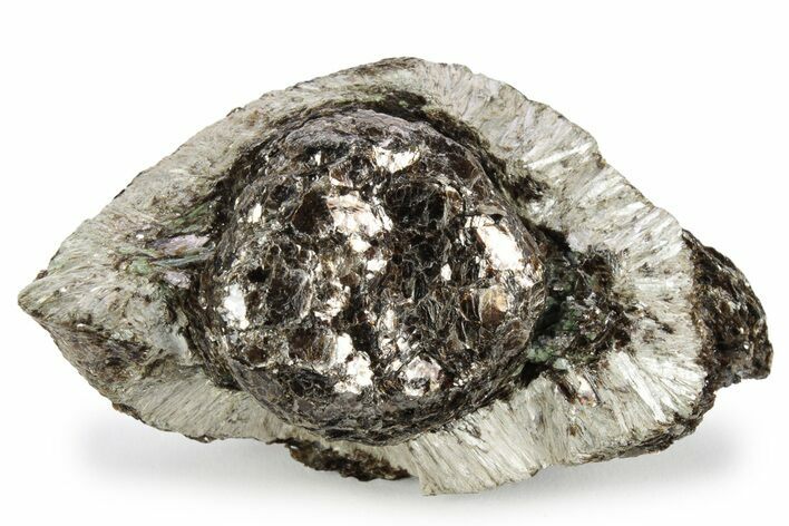 Fibrous Anthophyllite on Phlogopite (Hermanov Sphere) #239625